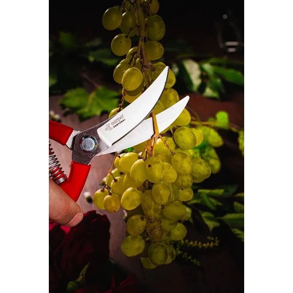 Секатор плоскостной 2465 OBRIGADO 200 мм, D15 мм, цельнокованый в Челябинске 