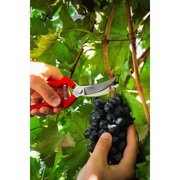 Секатор плоскостной 2465 OBRIGADO 200 мм, D15 мм, цельнокованый в Челябинске 