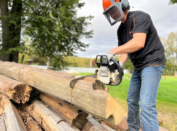 Бензопила ZimAni MS250 PRO в Челябинске