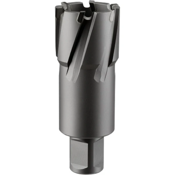 Кольцевая фреза ROTORICA TCT 19x55мм.  RT.4225019